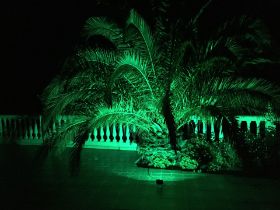 IMG_4201.JPG